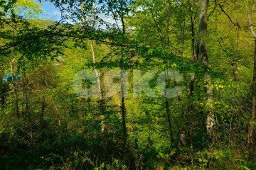 Фото №4: Коммерческая земля - Краснодарский край городской округ Сочи