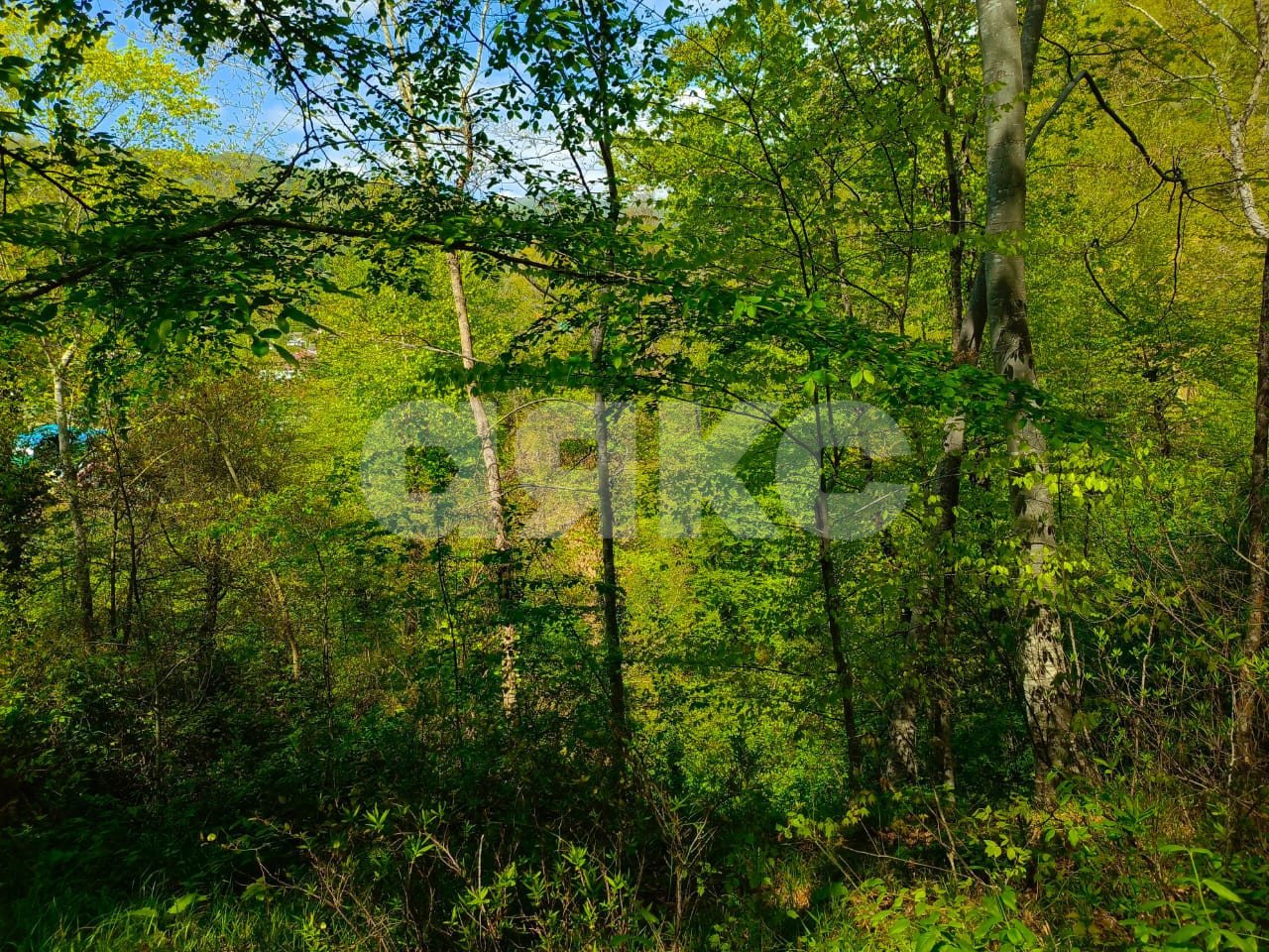 Фото №4: Коммерческая земля 1.5 сот. - Краснодарский край городской округ Сочи