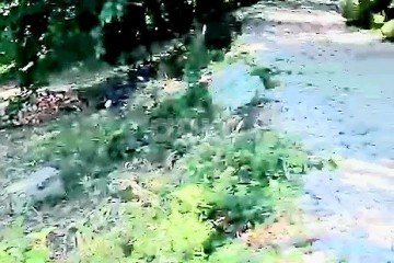 Фото №2: Участок садоводство - Дагомыс, р. Лазаревский, ул. Российская