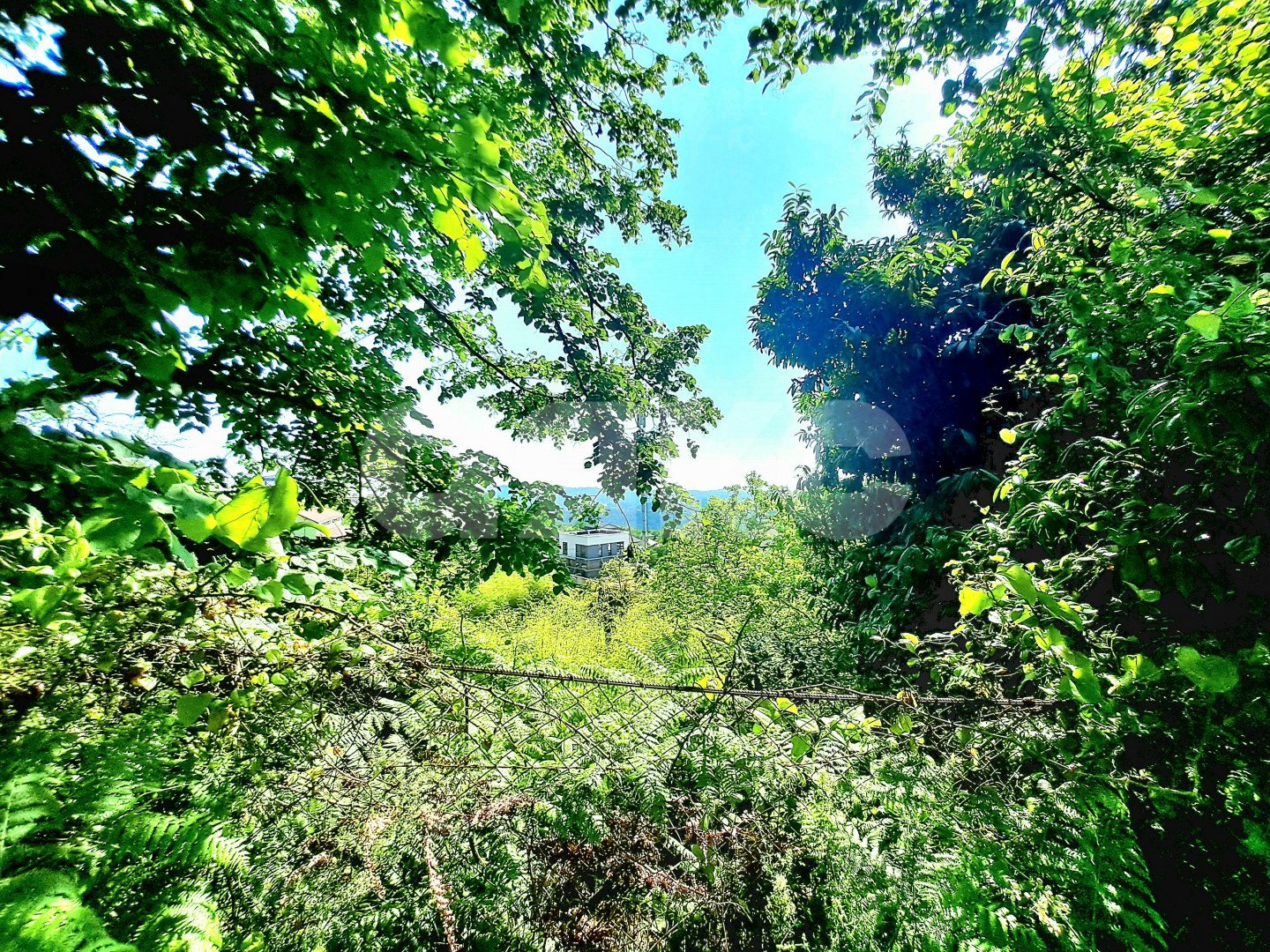 Фото №3: Участок садоводство 4.7 сот. - Дагомыс, р. Лазаревский, ул. Российская