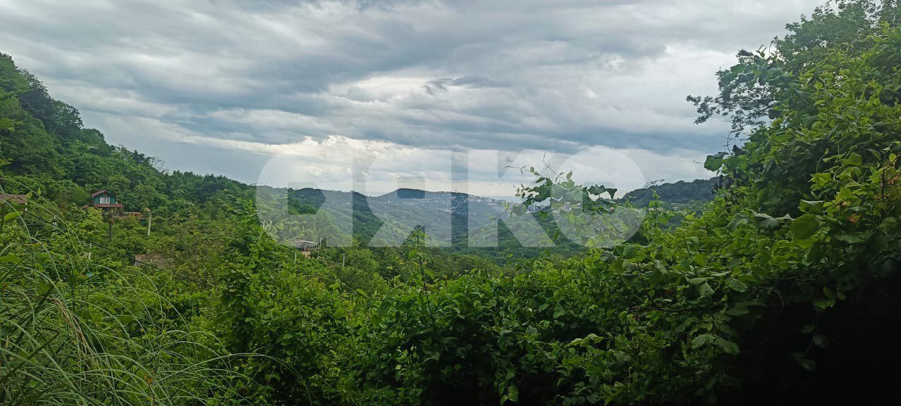 Фото №2: Участок садоводство 5.5 сот. - Верхний Юрт, Хостинский, счт Сады