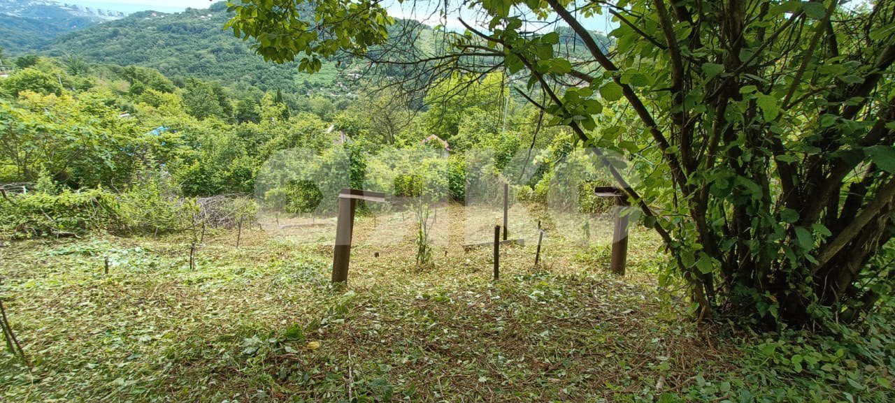 Фото №9: Участок садоводство 5.5 сот. - Верхний Юрт, Хостинский, счт Сады