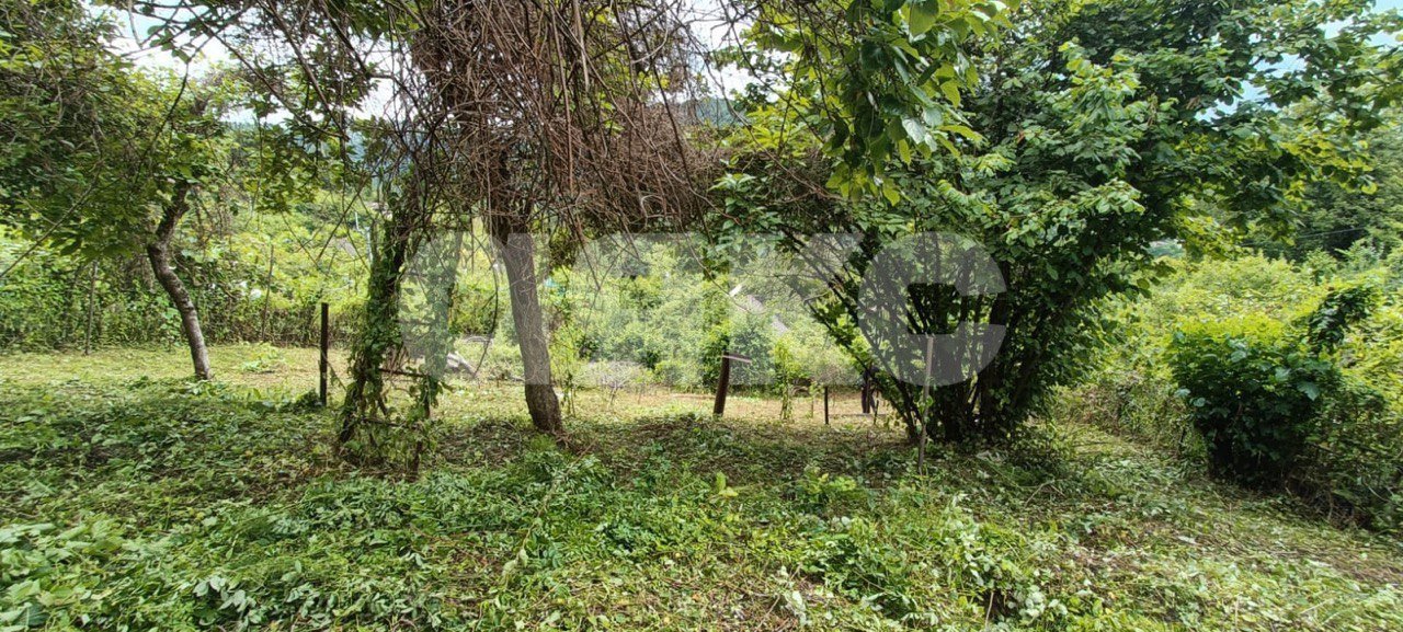 Фото №5: Участок садоводство 5.5 сот. - Верхний Юрт, Хостинский, счт Сады