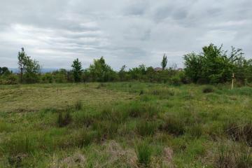 Фото №4: Земельный участок 6.24 сот. - Апшеронск, ул. Кленовая, 56