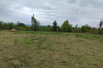 Фото №2: Земельный участок 6.24 сот. - Апшеронск, ул. Кленовая, 56