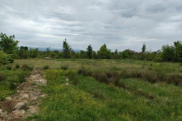 Фото №5: Земельный участок 6.24 сот. - Апшеронск, ул. Кленовая, 56