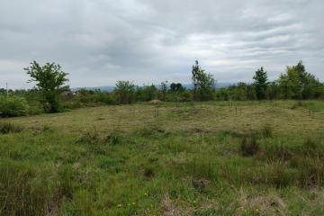 Фото №3: Земельный участок 6.24 сот. - Апшеронск, ул. Кленовая, 56