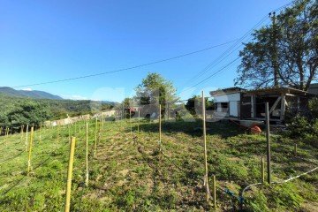 Фото №1: Личное подсобное хозяйство - Верхнее Буу, р. Лазаревский, 