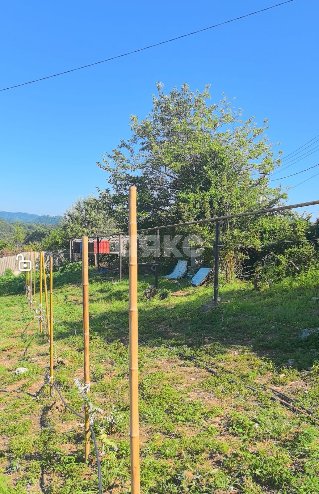 Фото №3: Личное подсобное хозяйство 6.5 сот. - Верхнее Буу, р. Лазаревский