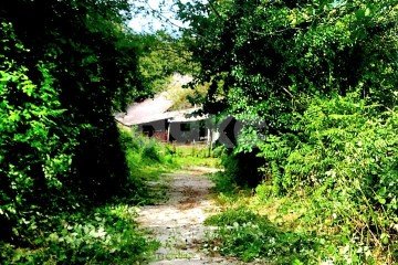 Фото №3: Земельный участок под ИЖС - Нижняя Шиловка, мкр. СТ Норильск, ул. Светогорская, 99