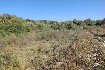 Фото №1: Коммерция 15 м² - Краснодарский край Апшеронский район