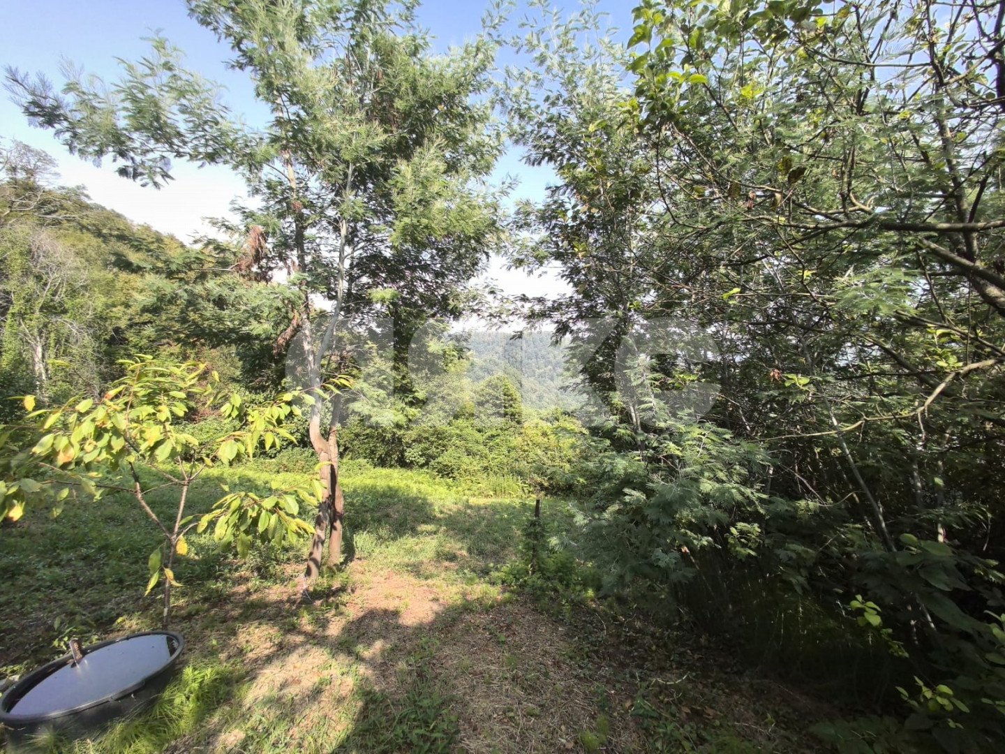 Фото №28: Дом 290 м² + 12.5 сот. - Верхнеякорная Щель, р. Лазаревский, ул. Арташатская, 32