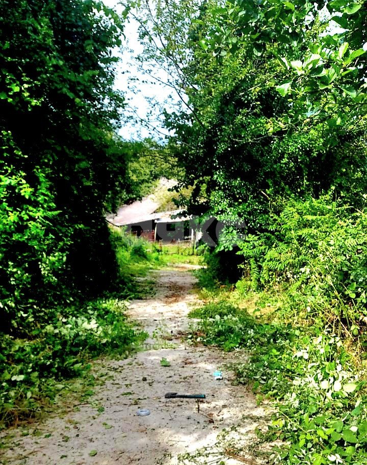 Фото №1: Личное подсобное хозяйство 29 сот. - Высокое, р. Адлерский, ул. Некрасова