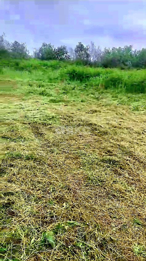 Фото №1: Участок садоводство 7.2 сот. - Сочи, Хостинский, Соболевка, ст Соболь, ул. Чайкиной