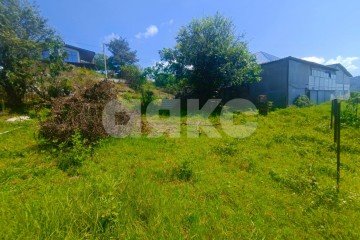 Фото №5: Личное подсобное хозяйство - Хлебороб, р. Адлерский, ул. Шаумяна