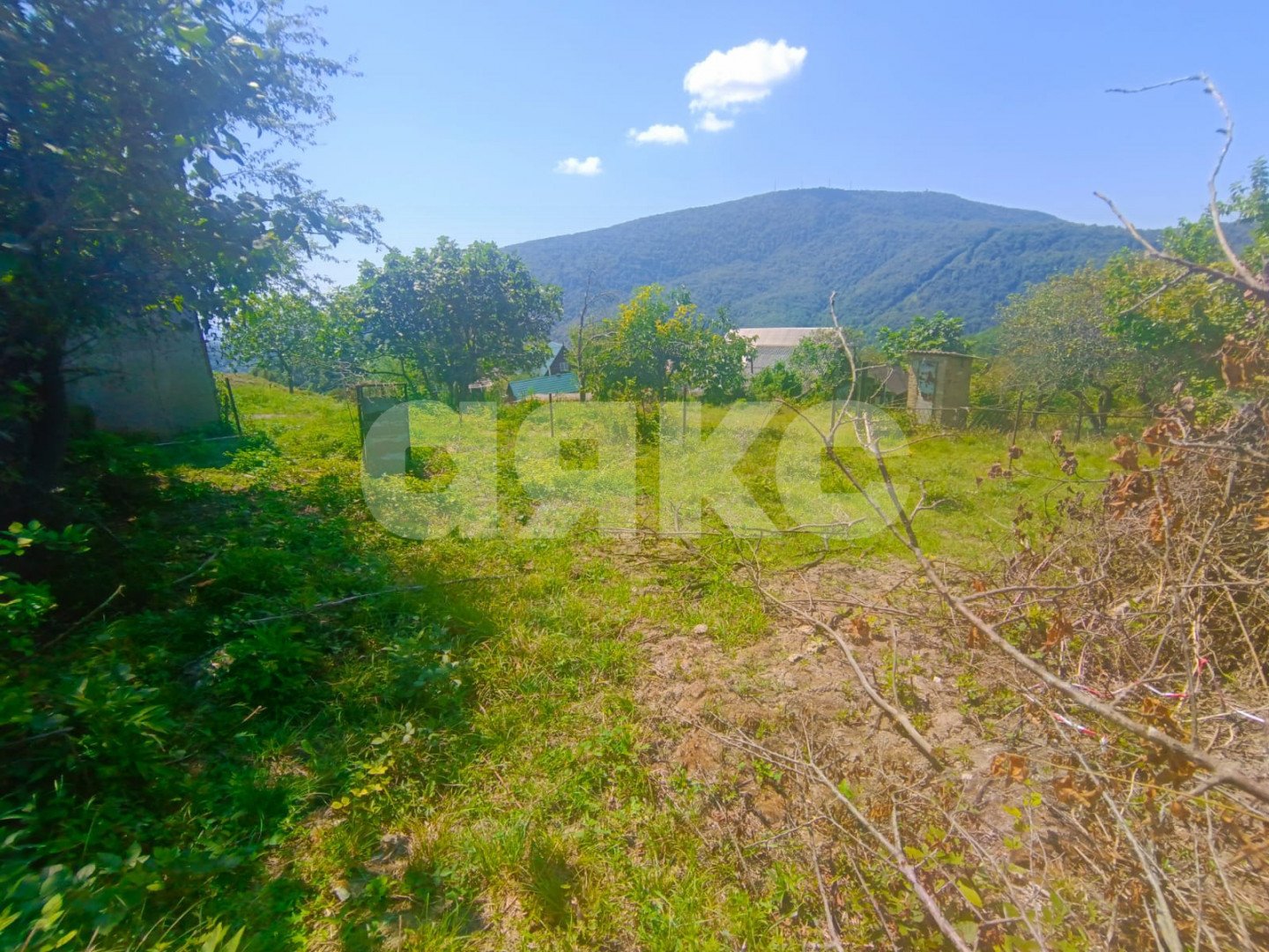 Фото №8: Личное подсобное хозяйство 7 сот. - Хлебороб, р. Адлерский, ул. Шаумяна