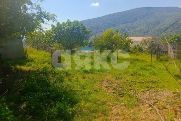 Фото №1: Личное подсобное хозяйство - Хлебороб, р. Адлерский, ул. Шаумяна