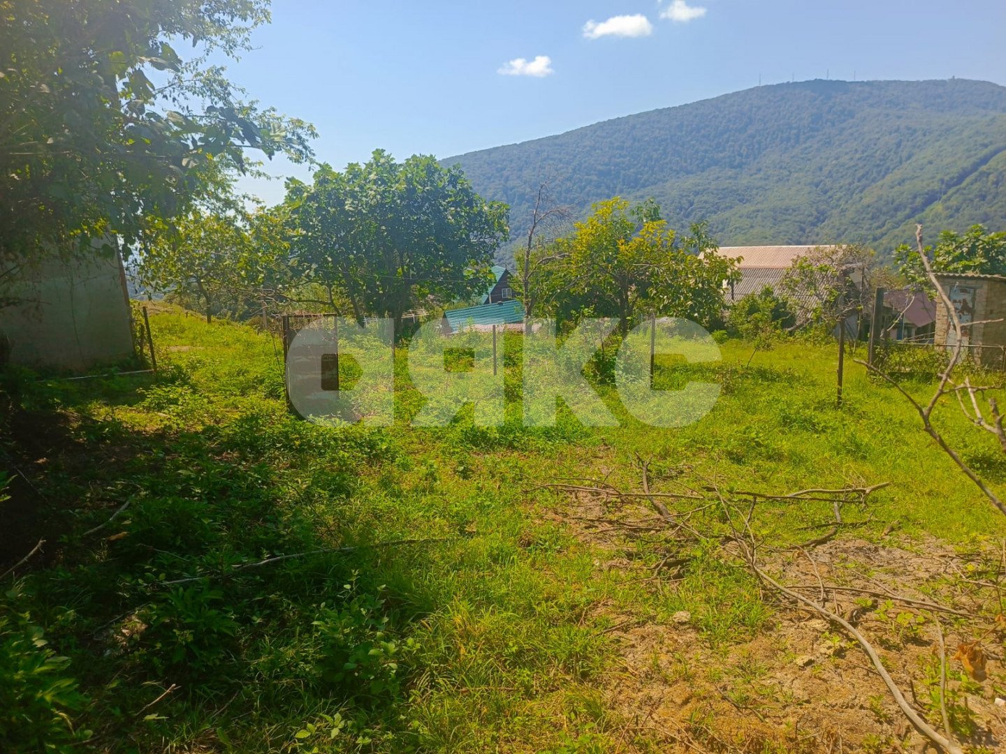 Фото №1: Личное подсобное хозяйство 7 сот. - Хлебороб, р. Адлерский, ул. Шаумяна