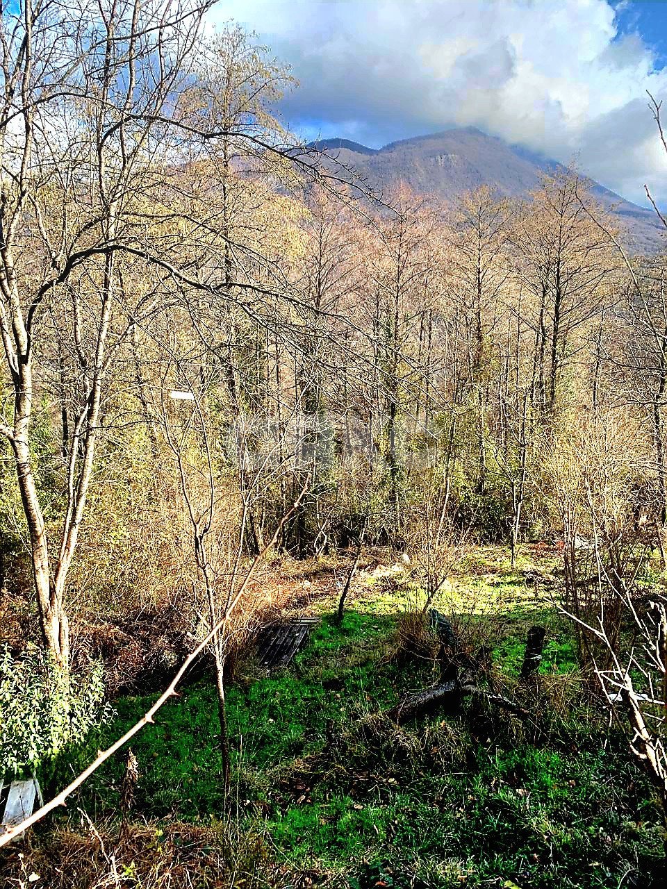 Фото №4: Земельный участок под ИЖС 8 сот. - Галицыно, Адлерский, ст Мелиоратор, 57