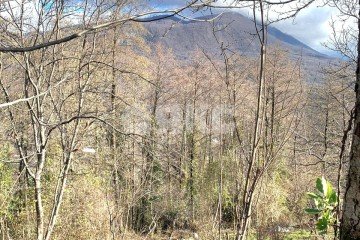 Фото №3: Земельный участок под ИЖС - Галицыно, ст Мелиоратор, 57