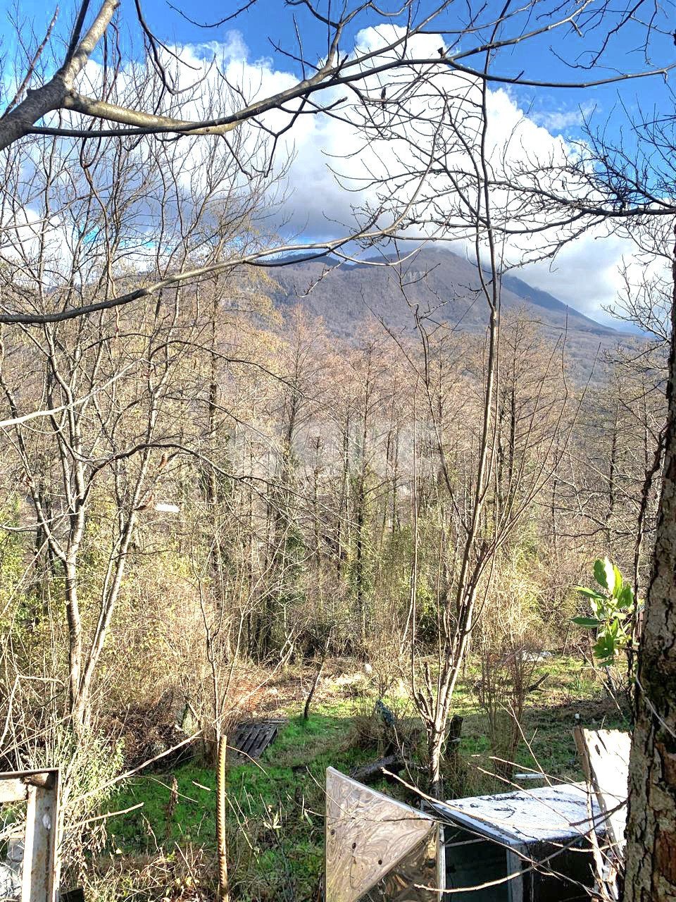 Фото №3: Земельный участок под ИЖС 8 сот. - Галицыно, Адлерский, ст Мелиоратор, 57