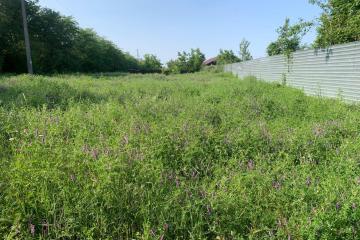 Фото №4: Дом 46 м² - Агроном, мкр. Карасунский внутригородской округ, ул. Зелёная, 342