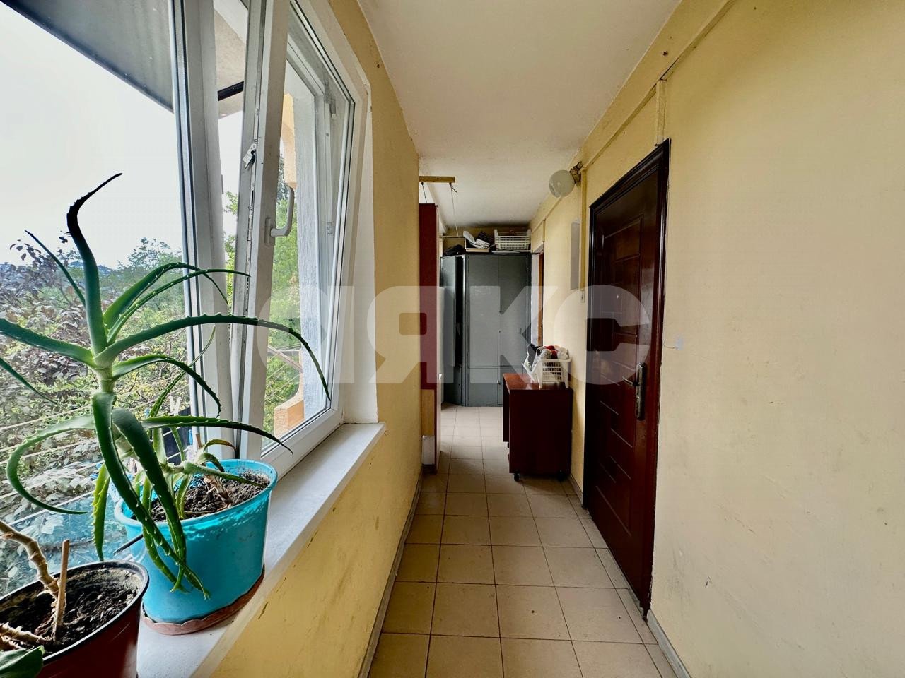 Фото №24: 2-комнатная квартира 54 м² - Сочи, Центральный, мкр. Заречный, ул. Абрикосовая, 26