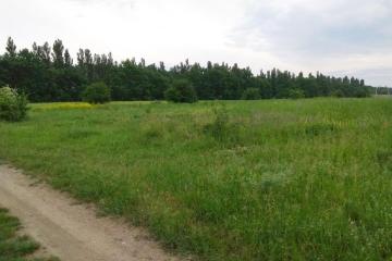 Фото №1: Коммерция 249 м² - Колос, ул. Будённого, 1