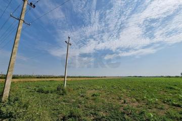 Фото №2: Коммерция 249 м² - Колос, ул. Будённого, 2