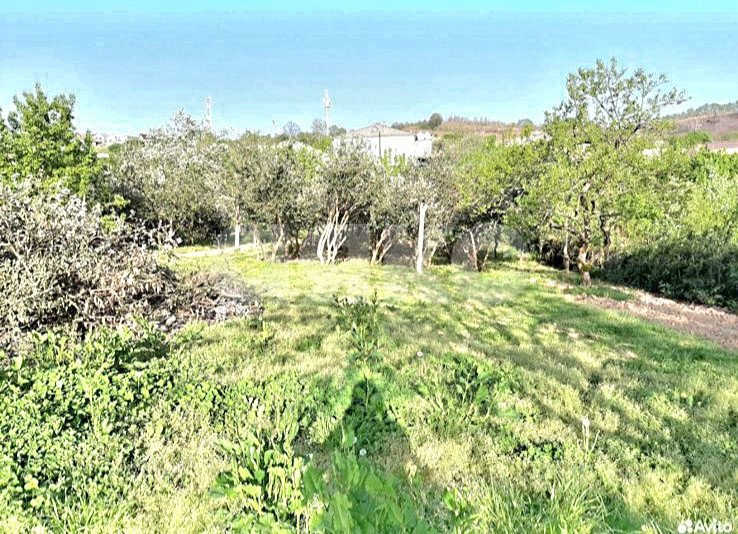 Фото №2: Участок садоводство 4.7 сот. - Краснодарский край городской округ Сочи