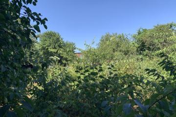 Фото №1: Земельный участок 10 сот. - Черников, мкр. Прикубанский внутригородской округ, ул. Центральная, 13