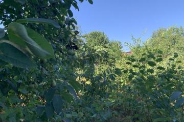 Фото №2: Земельный участок 10 сот. - Черников, мкр. Прикубанский внутригородской округ, ул. Центральная, 13