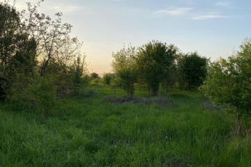 Фото №4: Коммерция 6 м² - Ильский, ул. Шевченко