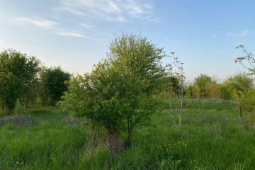 Фото №2: Коммерция 6 м² - Ильский, ул. Шевченко