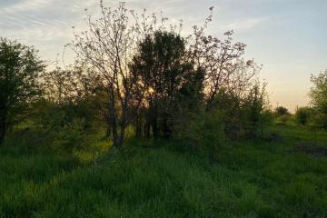 Фото №3: Коммерция 6 м² - Ильский, ул. Шевченко