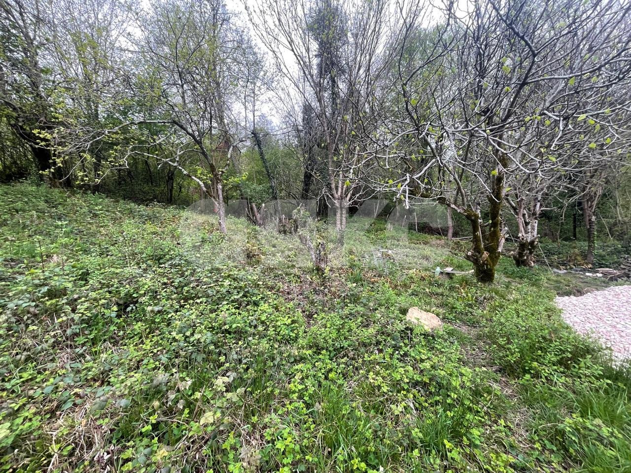 Фото №4: Земельный участок под ИЖС 5.1 сот. - Верховское, мкр. СНТ Омега, ул. Верховская, 20