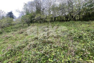 Фото №3: Земельный участок под ИЖС - Верховское, мкр. СНТ Омега, ул. Верховская, 20