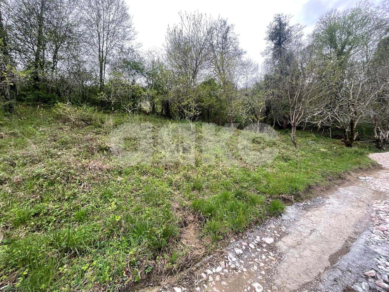 Фото №2: Земельный участок под ИЖС 5.1 сот. - Верховское, мкр. СНТ Омега, ул. Верховская, 20