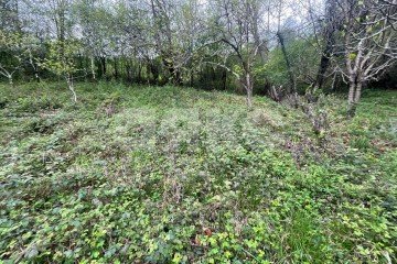 Фото №5: Земельный участок под ИЖС - Верховское, мкр. СНТ Омега, ул. Верховская, 20