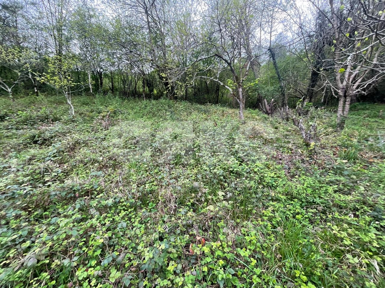 Фото №5: Земельный участок под ИЖС 5.1 сот. - Верховское, мкр. СНТ Омега, ул. Верховская, 20