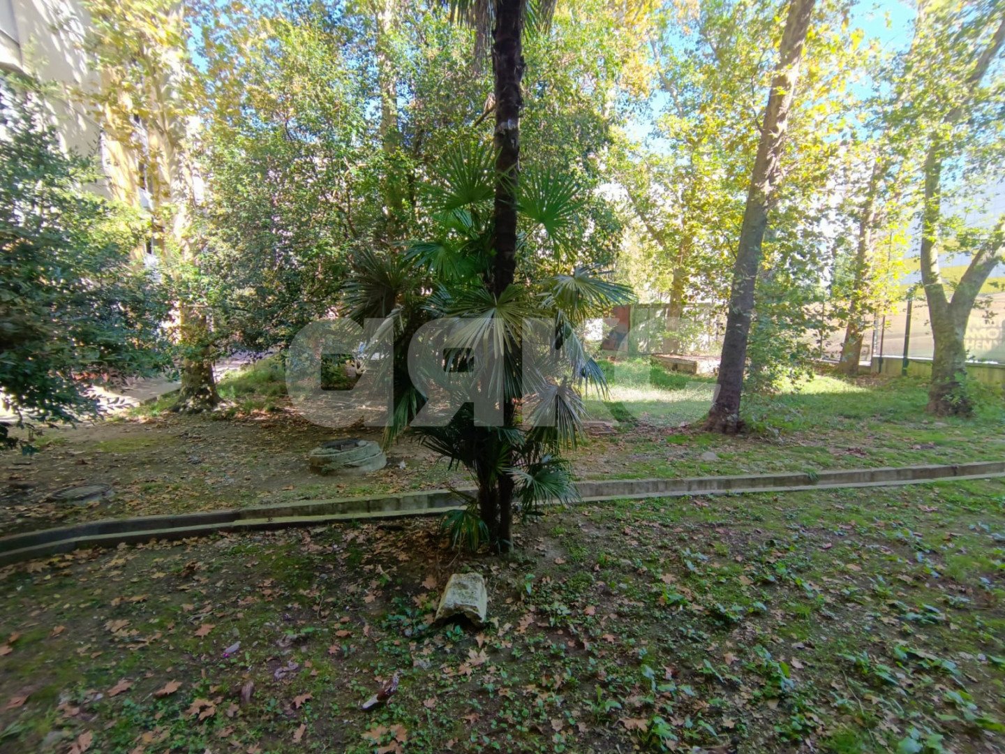 Фото №7: 3-комнатная квартира 67 м² - Сочи, Центральный, мкр. Донская, ул. Донская, 60