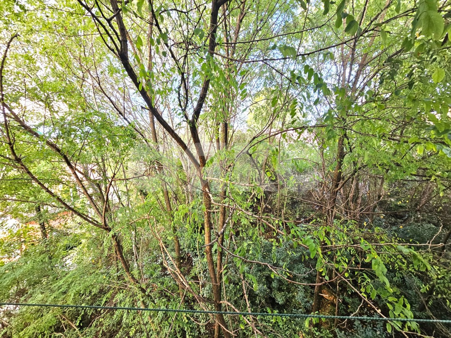 Фото №14: 2-комнатная квартира 47 м² - Сочи, Хостинский, Соболевка, снт Фронтовик, ул. Чайкиной, 9/14