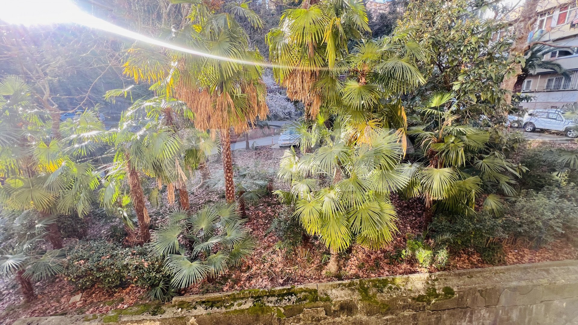 Фото №17: 3-комнатная квартира 65 м² - Сочи, Центральный, мкр. Гагарина, ул. Красноармейская, 15