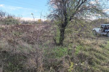 Фото №1: Земельный участок 6.2 сот. - Елизаветинская, ст Нива, ул. Сиреневая