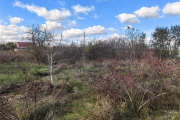 Фото №3: Земельный участок 6.2 сот. - Елизаветинская, ст Нива, ул. Сиреневая