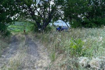 Фото №2: Земельный участок 6.69 сот. - Дружелюбный, мкр. квартал Куренной, 345