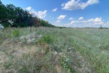 Фото №5: Земельный участок 6.69 сот. - Дружелюбный, мкр. квартал Куренной, 345