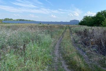 Фото №4: Земельный участок 6.69 сот. - Дружелюбный, мкр. квартал Куренной, 345