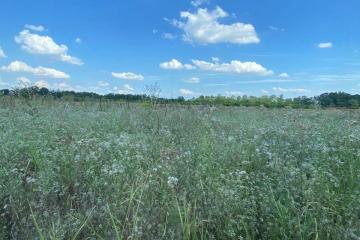 Фото №3: Земельный участок 6.69 сот. - Дружелюбный, мкр. квартал Куренной, 345