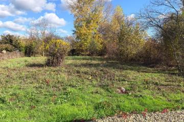 Фото №5: Земельный участок 6.4 сот. - Елизаветинская, ст Голубая Нива, ул. Южная, 186